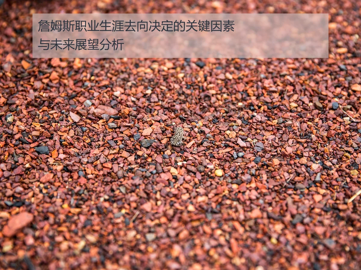詹姆斯职业生涯去向决定的关键因素与未来展望分析